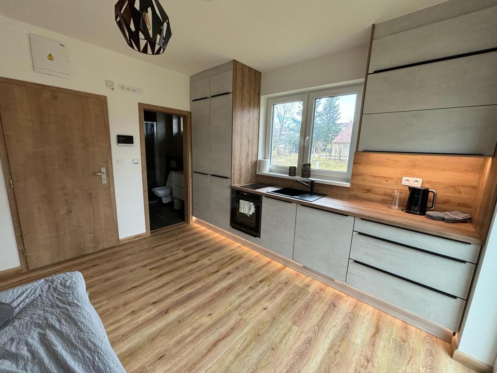 Apartmany U Plaze Lipna - Male Lipno Černá v Pošumaví Kültér fotó